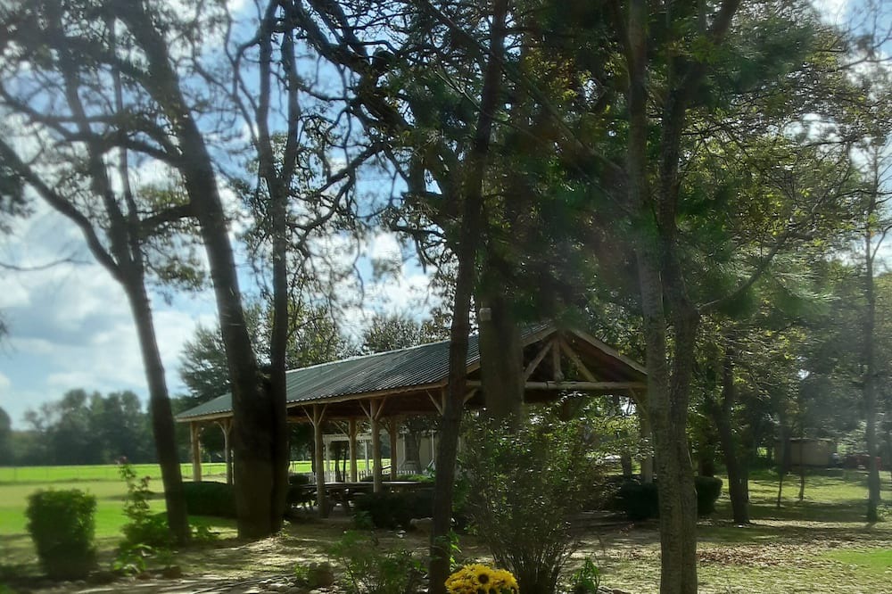 Photo of Outdoor in Palestine