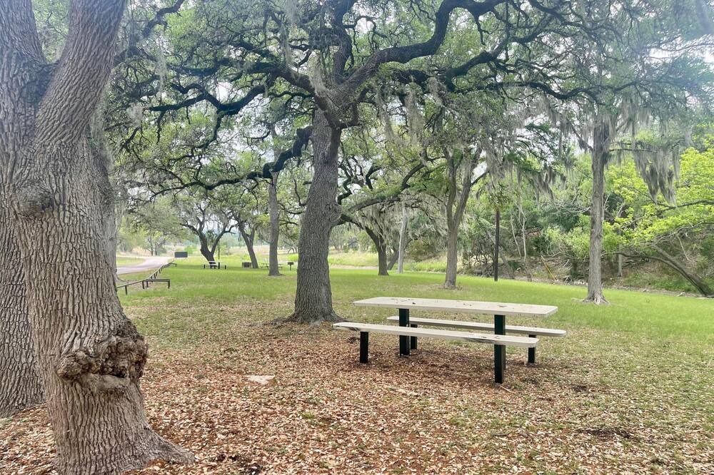 Photo of Others in Spring Branch