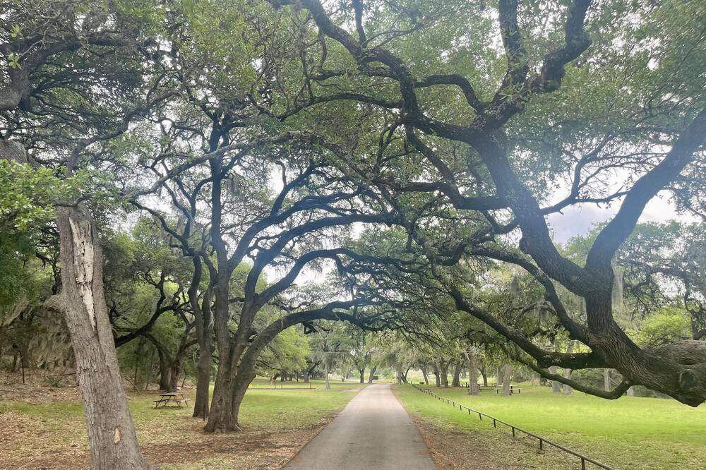 Photo of Others in Spring Branch