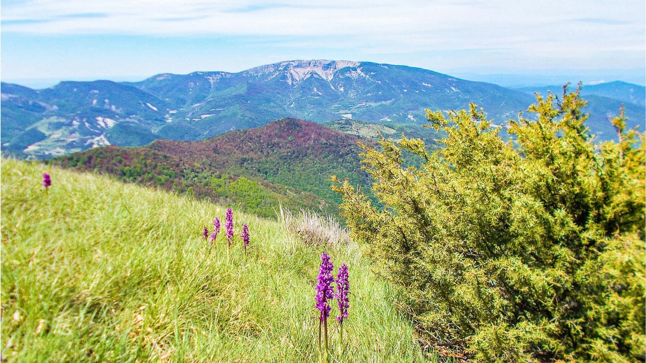 Photo of Outdoor in Meysse