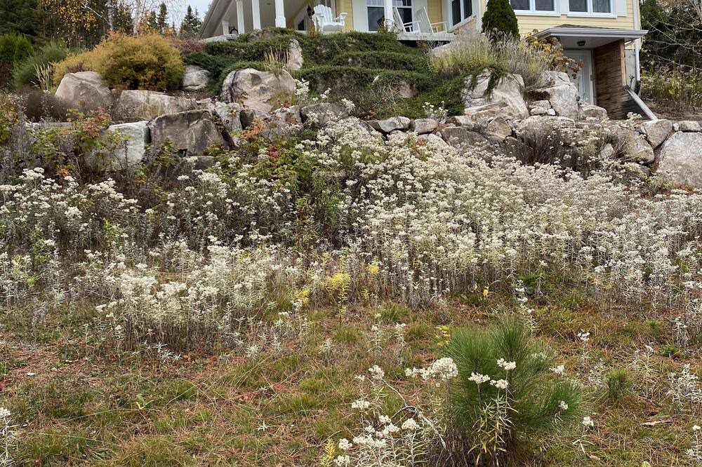 Photo of Outdoor in Saint-Simeon