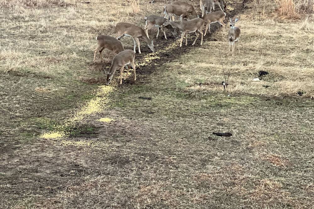 Photo of Outdoor in Durant