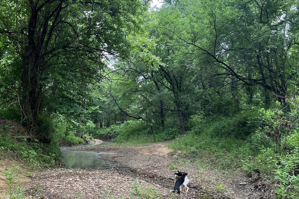 Photo of Outdoor in Durant