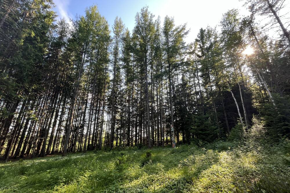 Photo of Outdoor in Saint-Tite-des-Caps