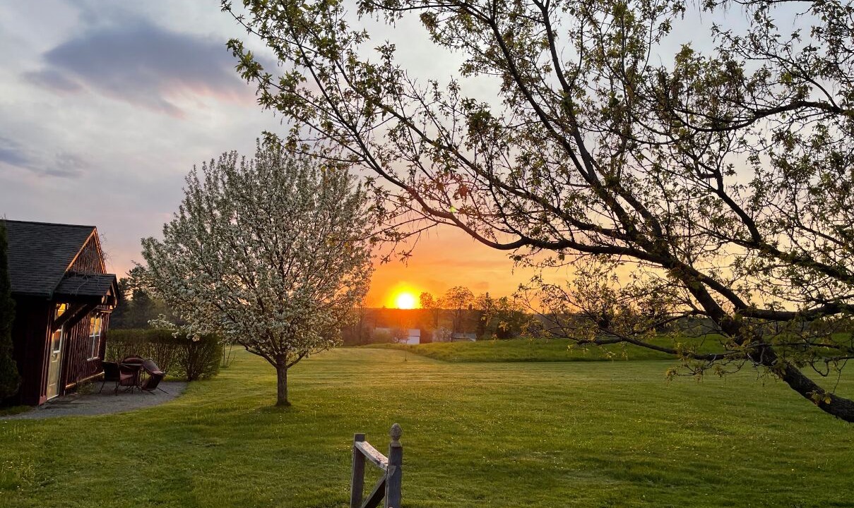 Photo of Outdoor in East Springfield