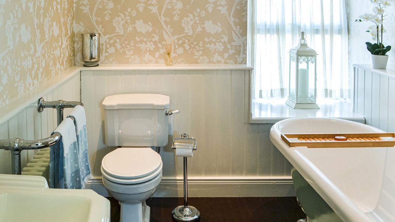 Photo of Others in Bellingham