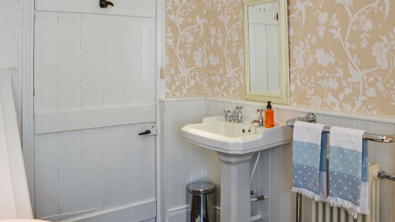 Photo of Others in Bellingham