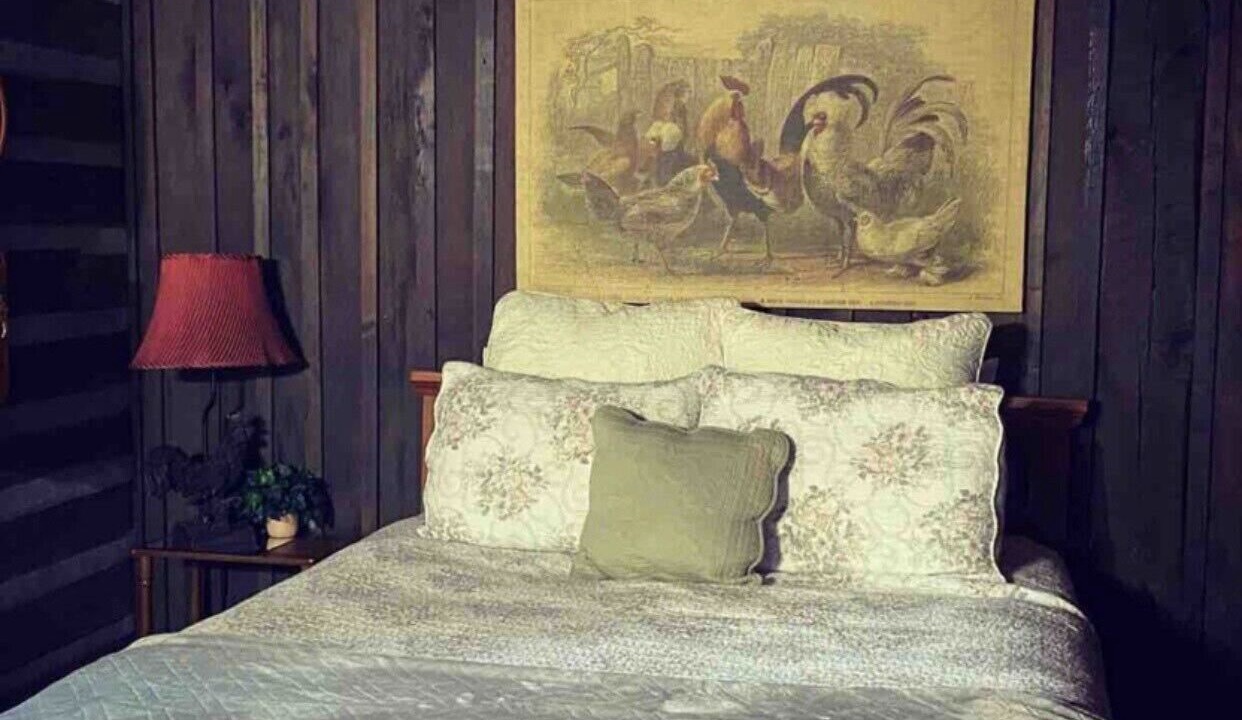 Photo of Others in Eckerty