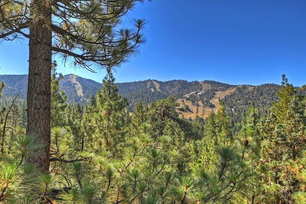 Photo of Outdoor in Upper Moonridge
