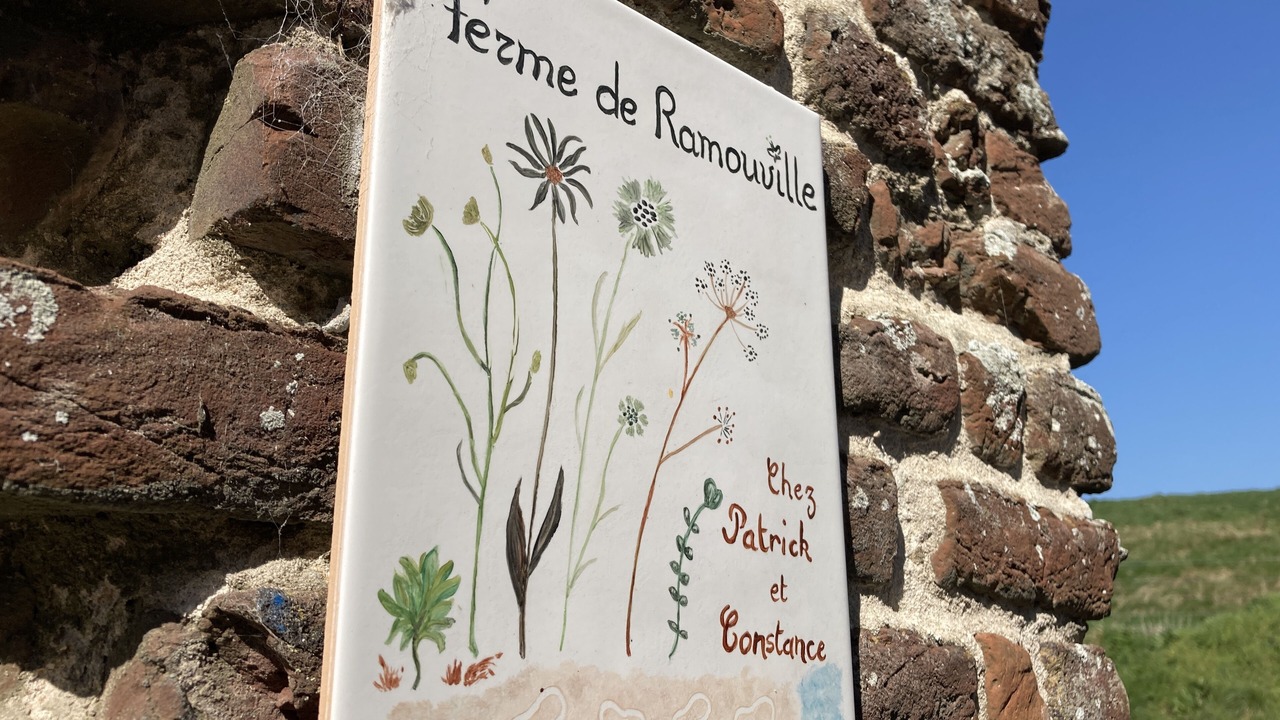 Photo of Outdoor in Saint-Aubin-sur-Mer