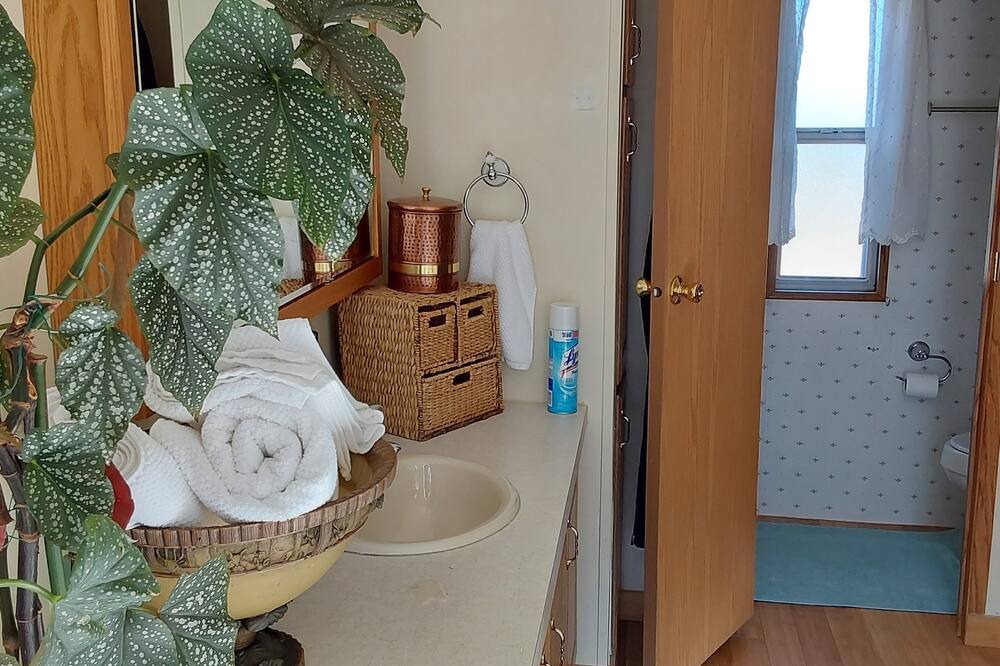 Photo of Bathroom in Springerville