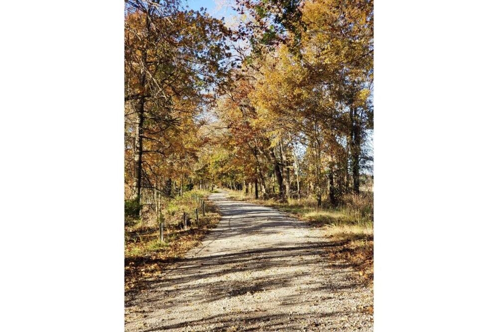 Photo of Outdoor in Henry County