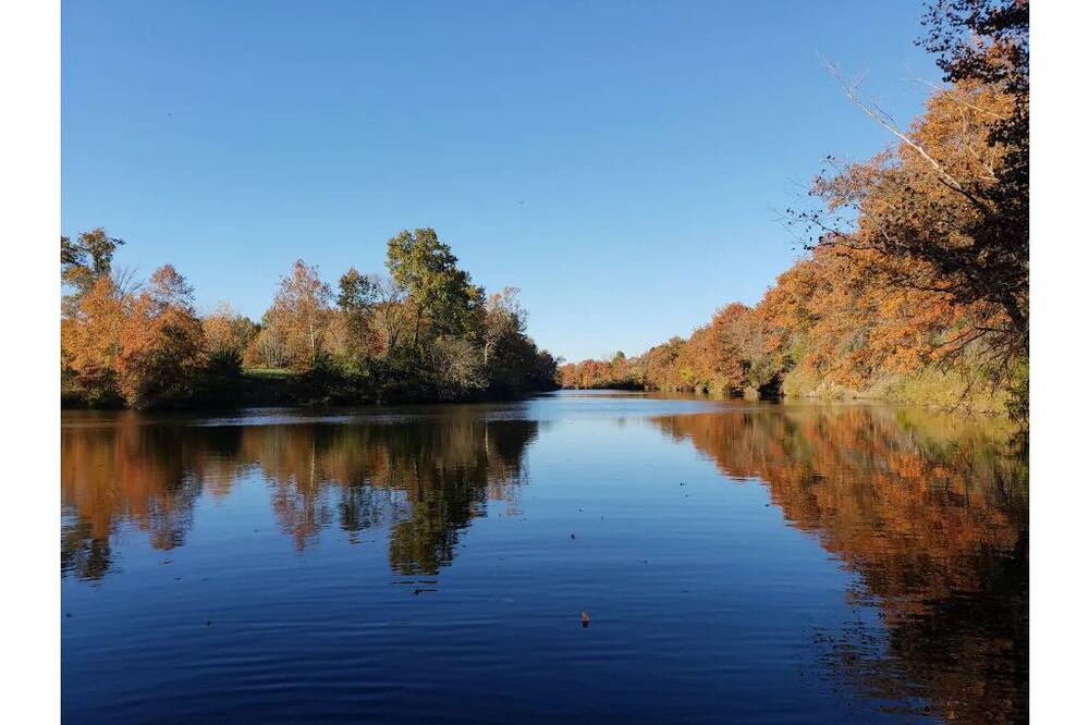 Photo of Others in Henry County