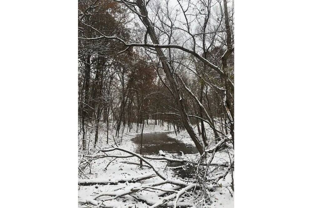 Photo of Others in Henry County