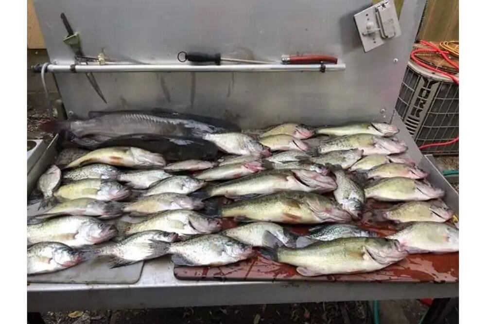 Photo of Kitchen in Henry County