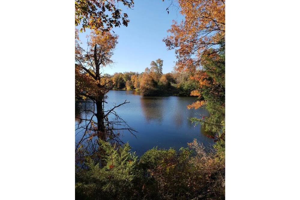 Photo of Others in Henry County