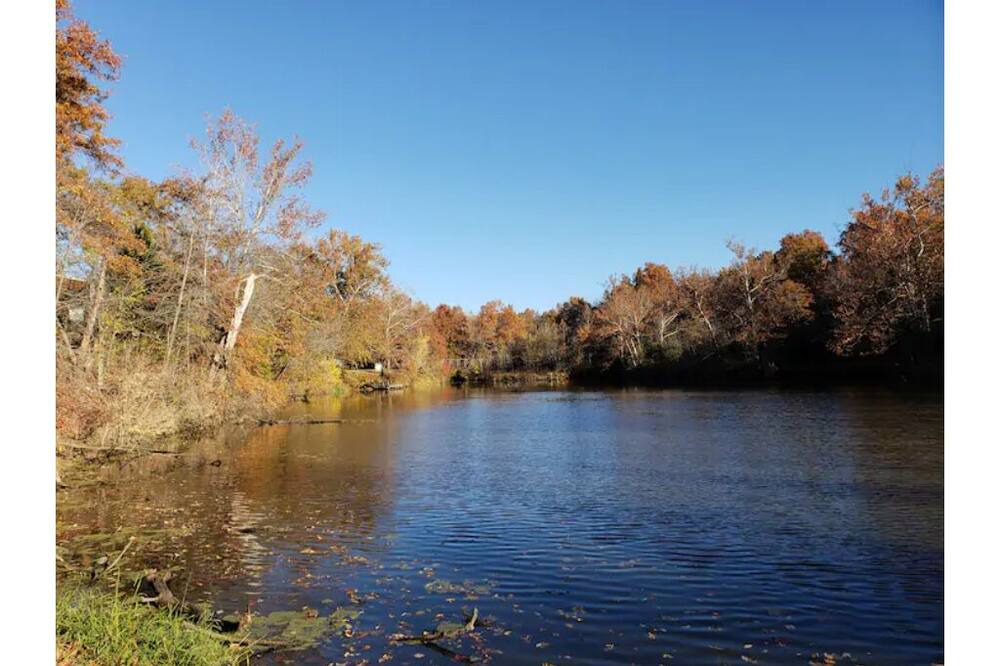 Photo of Others in Henry County