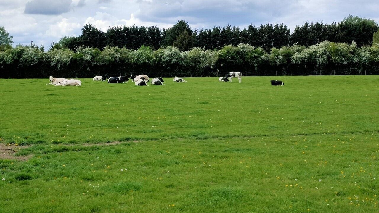 Photo of Others in Saultain