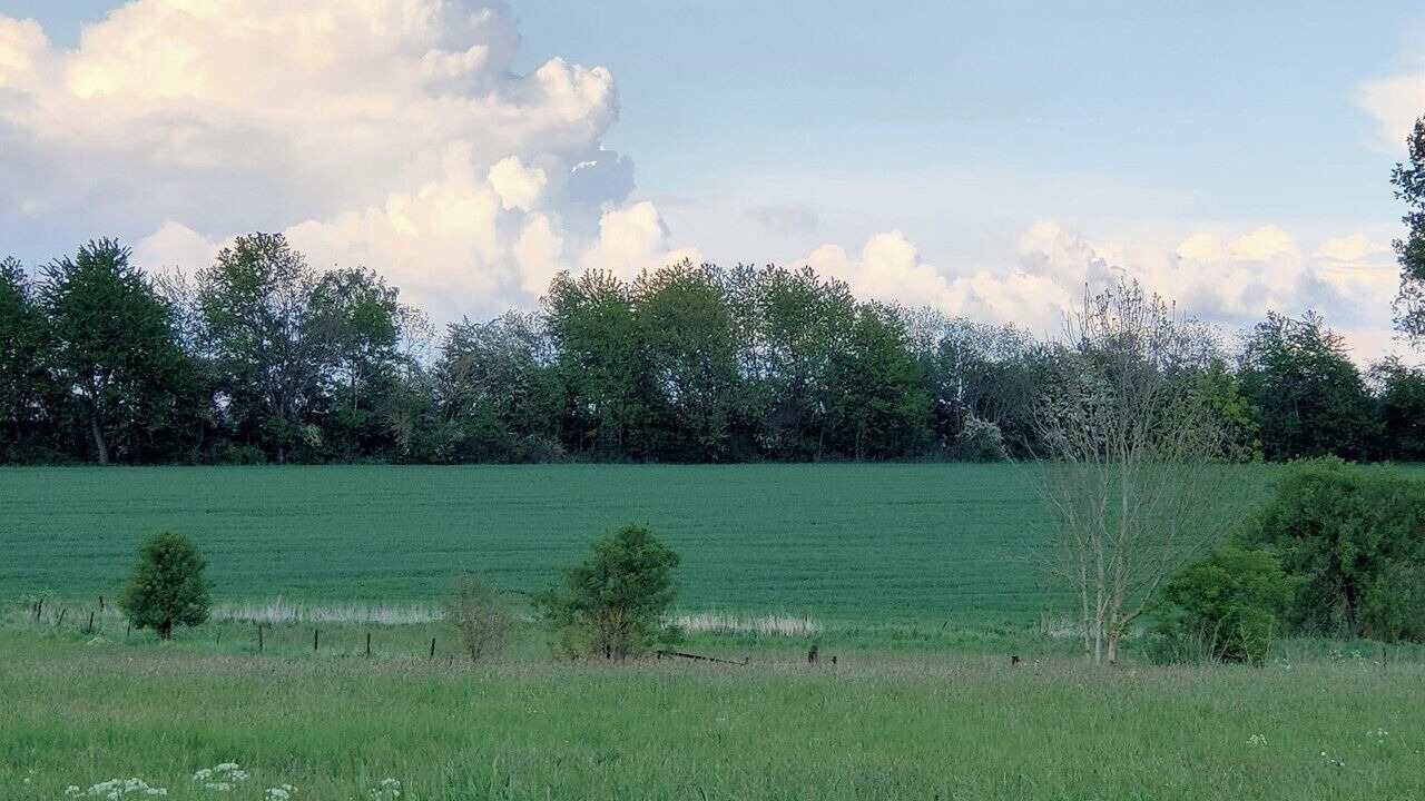 Photo of Outdoor in Saultain