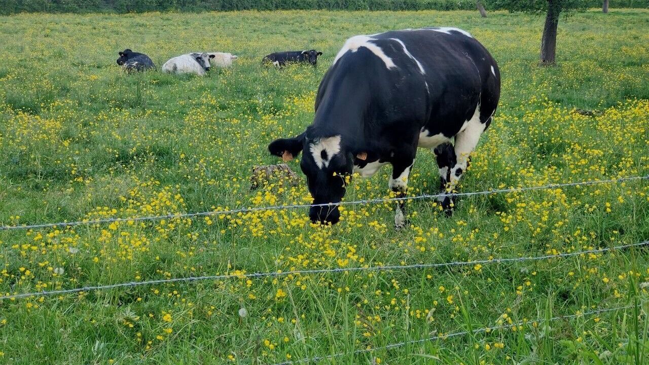 Photo of Outdoor in Saultain