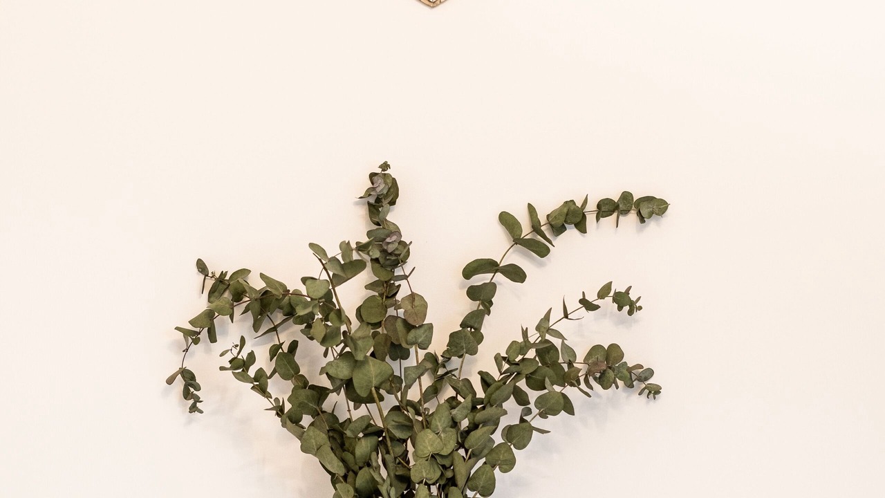 Photo of Others in Rombies-et-Marchipont