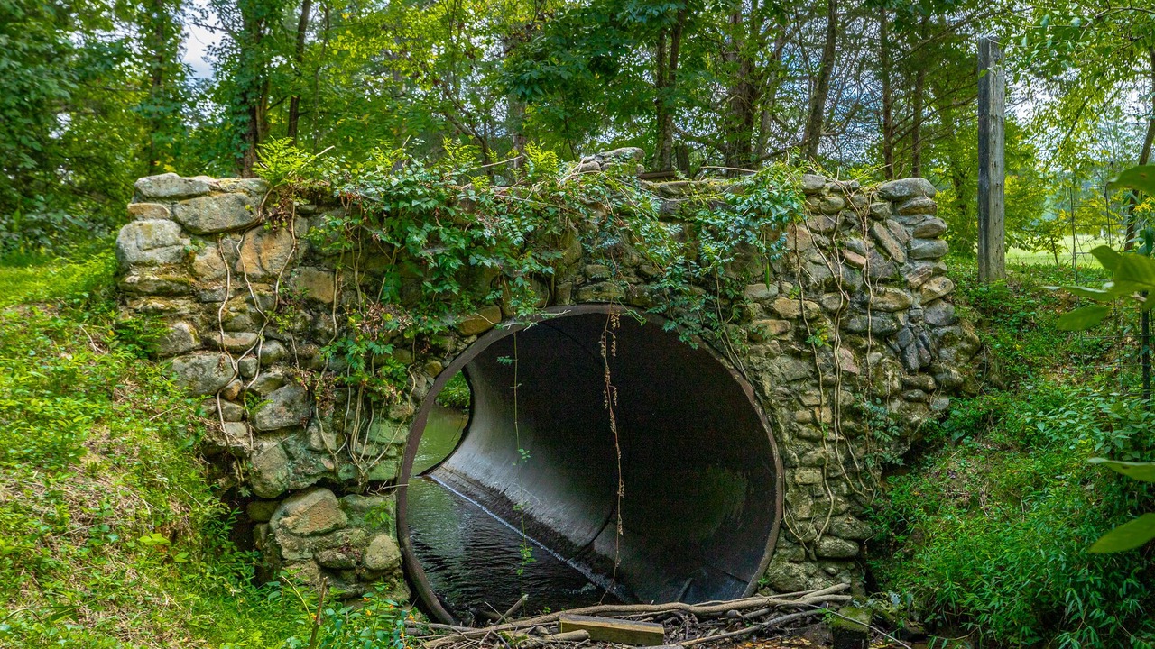 Photo of Others in Rock Spring