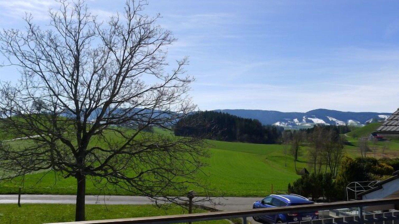 Photo of Outdoor in Horgen District