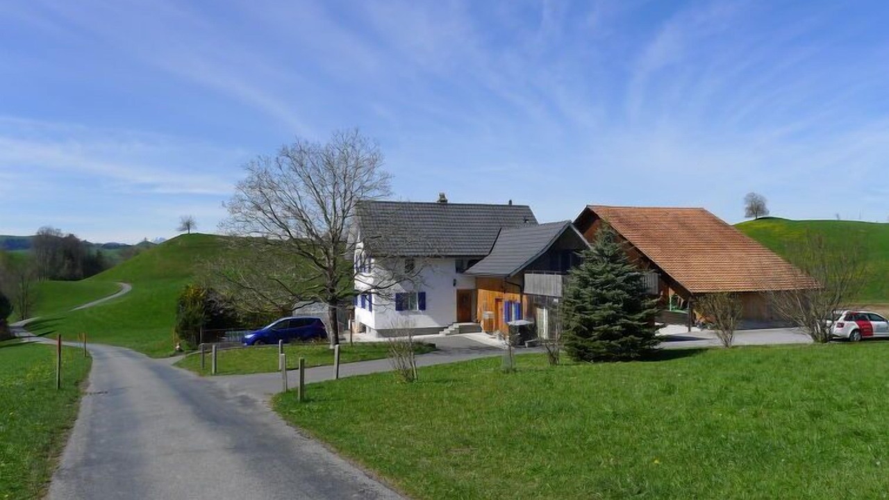 Photo of Outdoor in Horgen District
