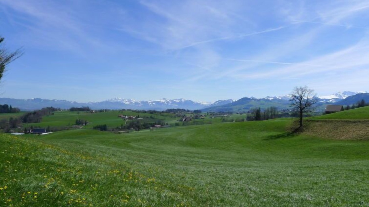 Photo of Others in Horgen District