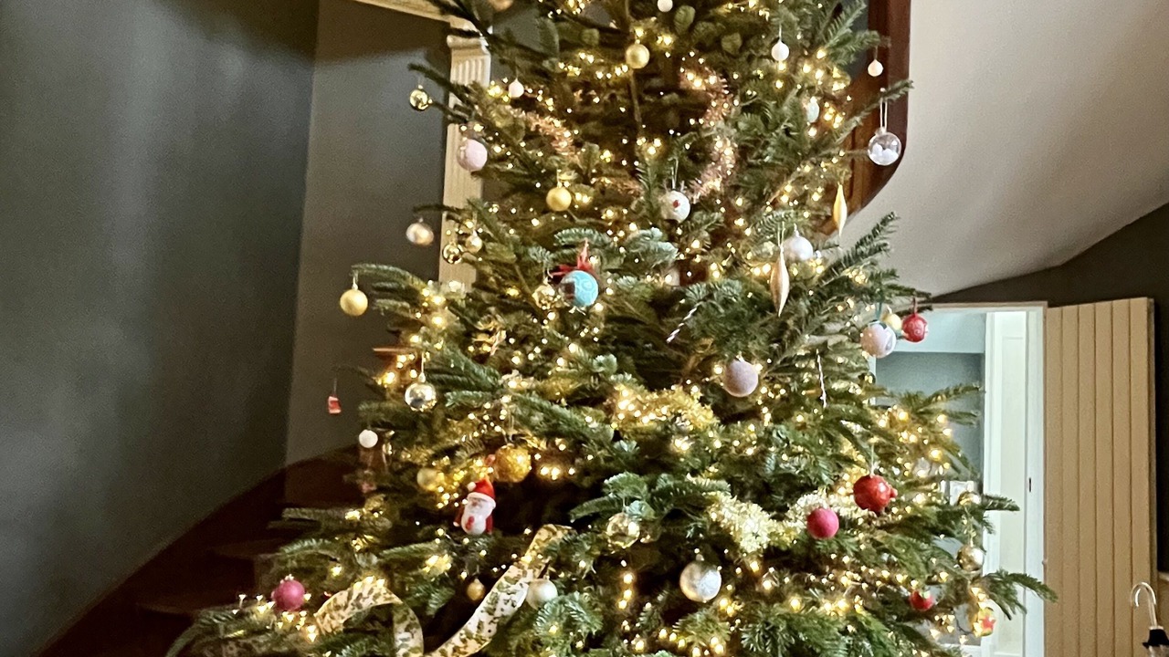 Photo of Others in Montlouis-sur-Loire