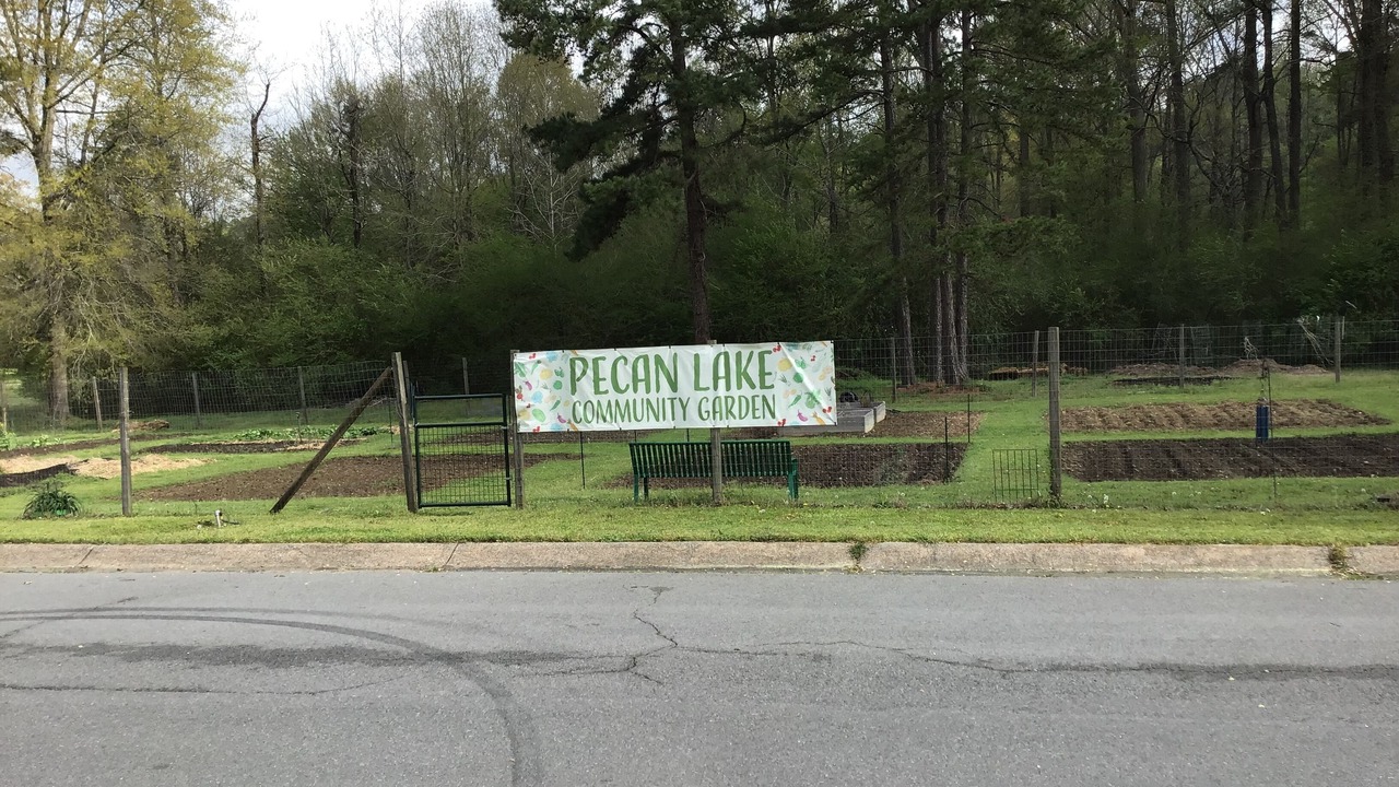 Photo of Others in Little Rock