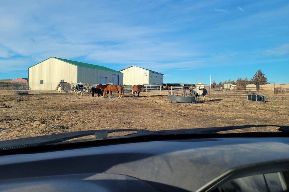 Photo of Others in Lingle