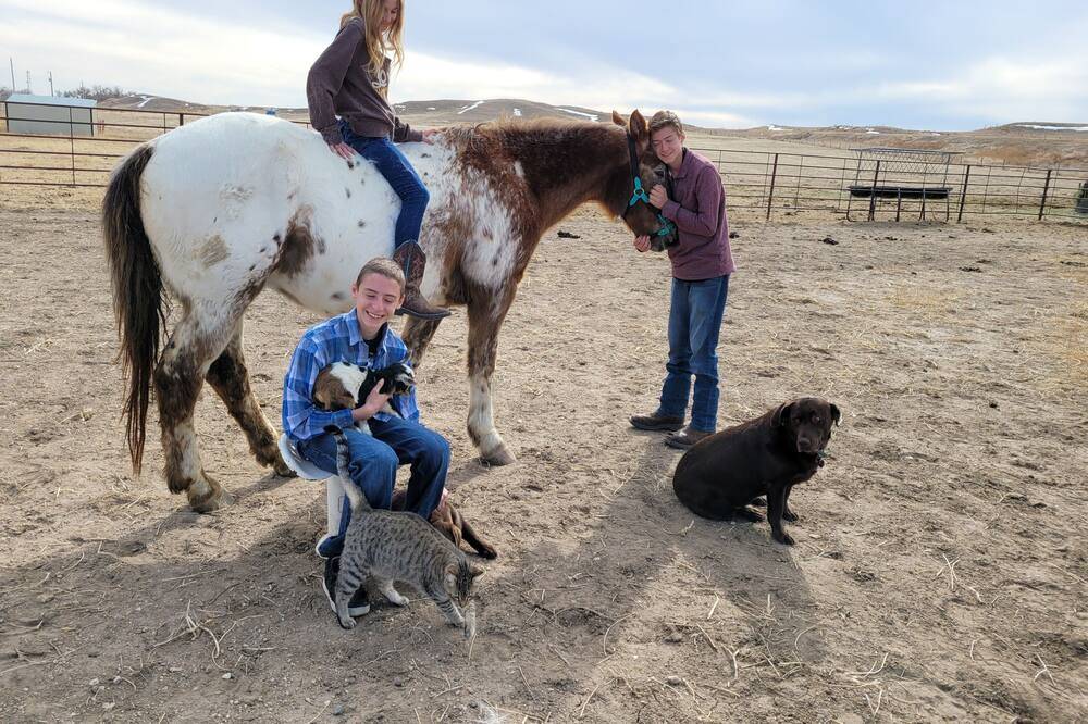 Photo of Others in Lingle