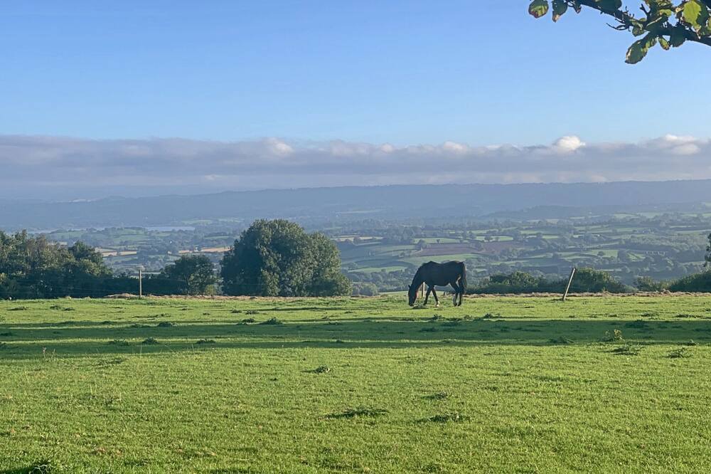 Photo of Others in Dundry