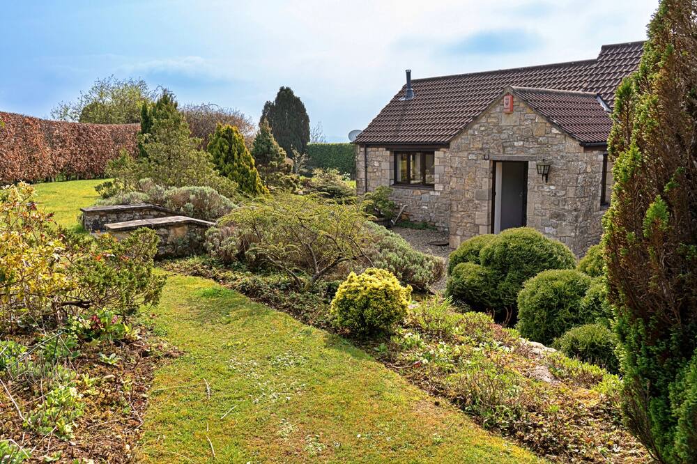 Photo of Others in Dundry