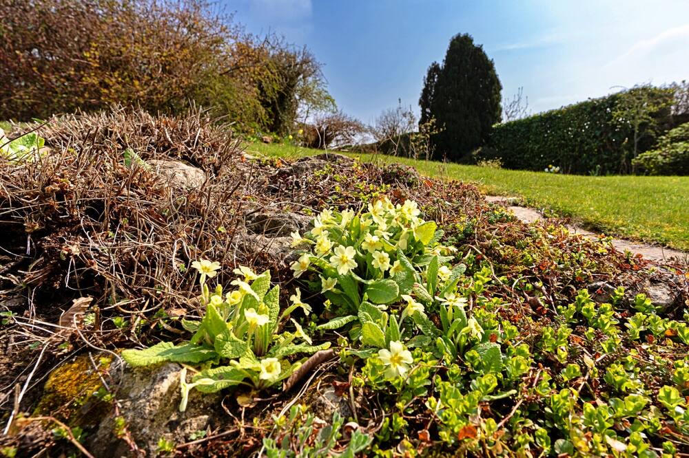 Photo of Outdoor in Dundry