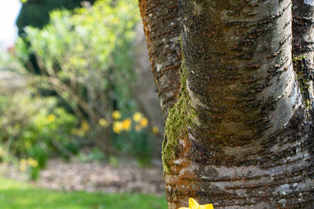 Photo of Outdoor in Dundry