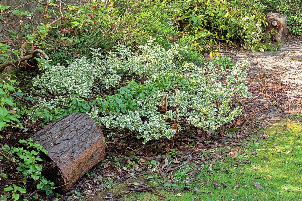 Photo of Outdoor in Dundry