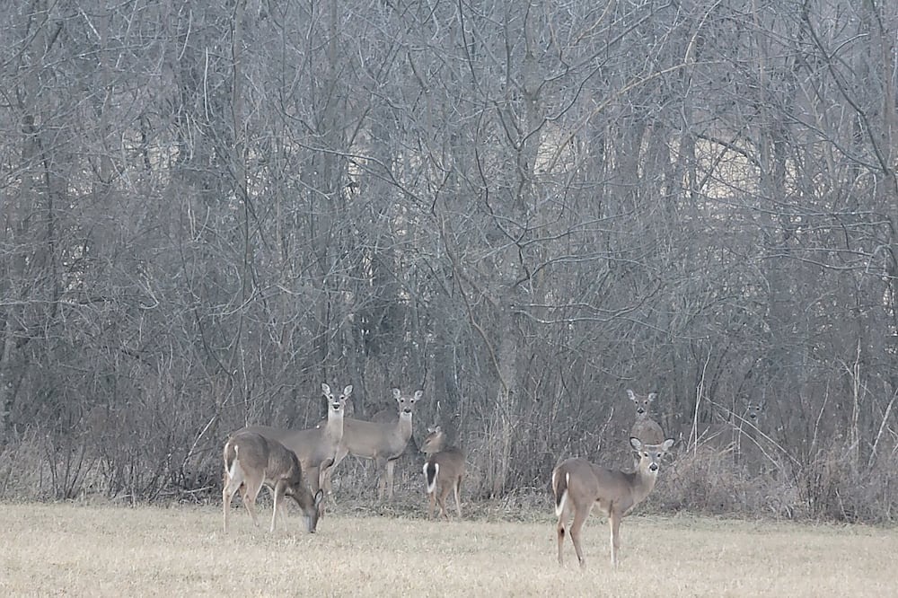 Photo of Others in Marshfield
