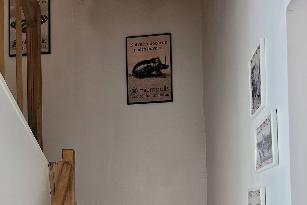 Photo of Others in Arvieu