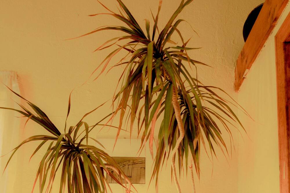 Photo of Others in Taos