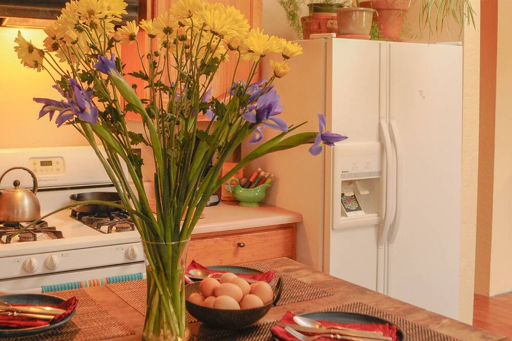 Photo of Kitchen in Taos
