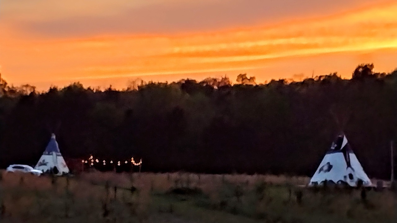 Photo of Others in Lewisburg