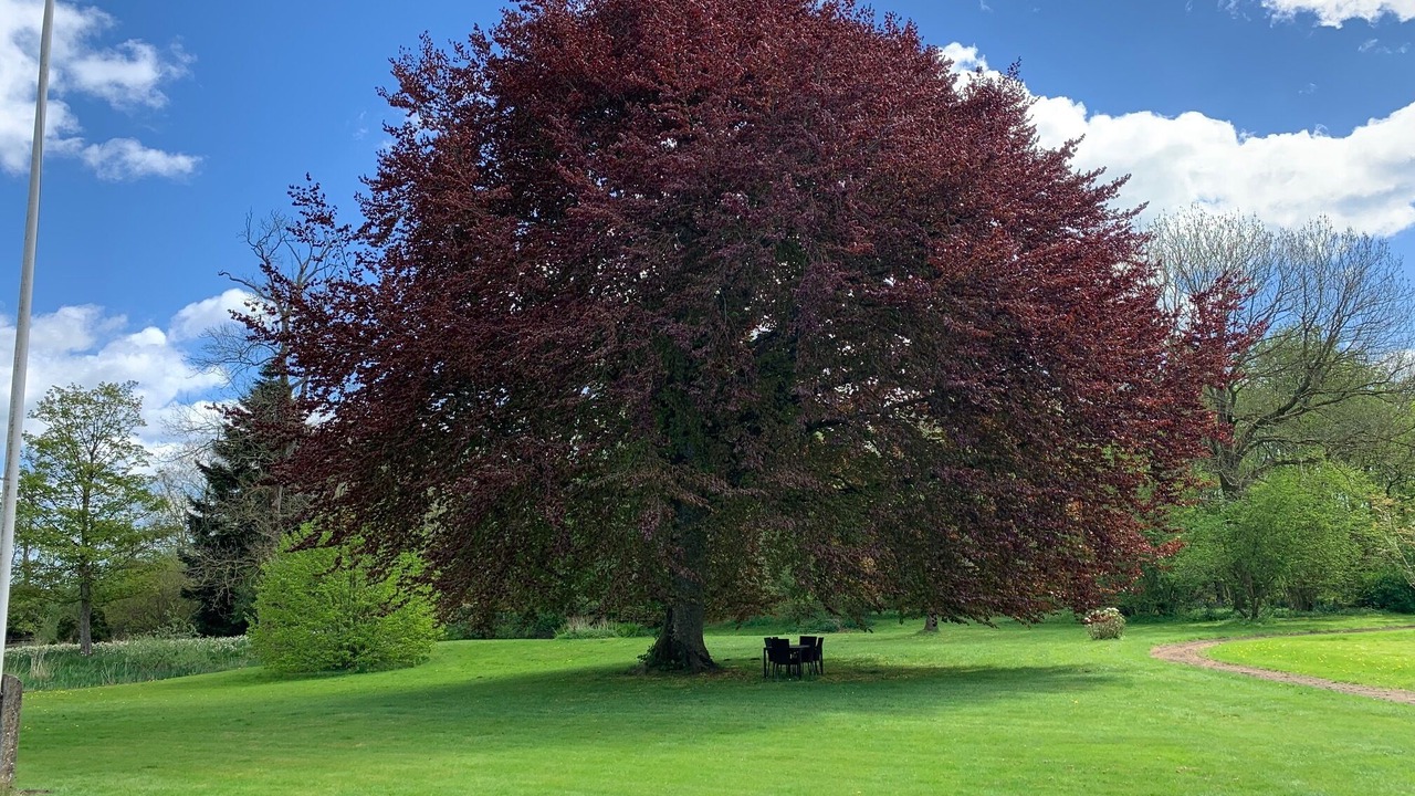 Photo of Outdoor in Barrit