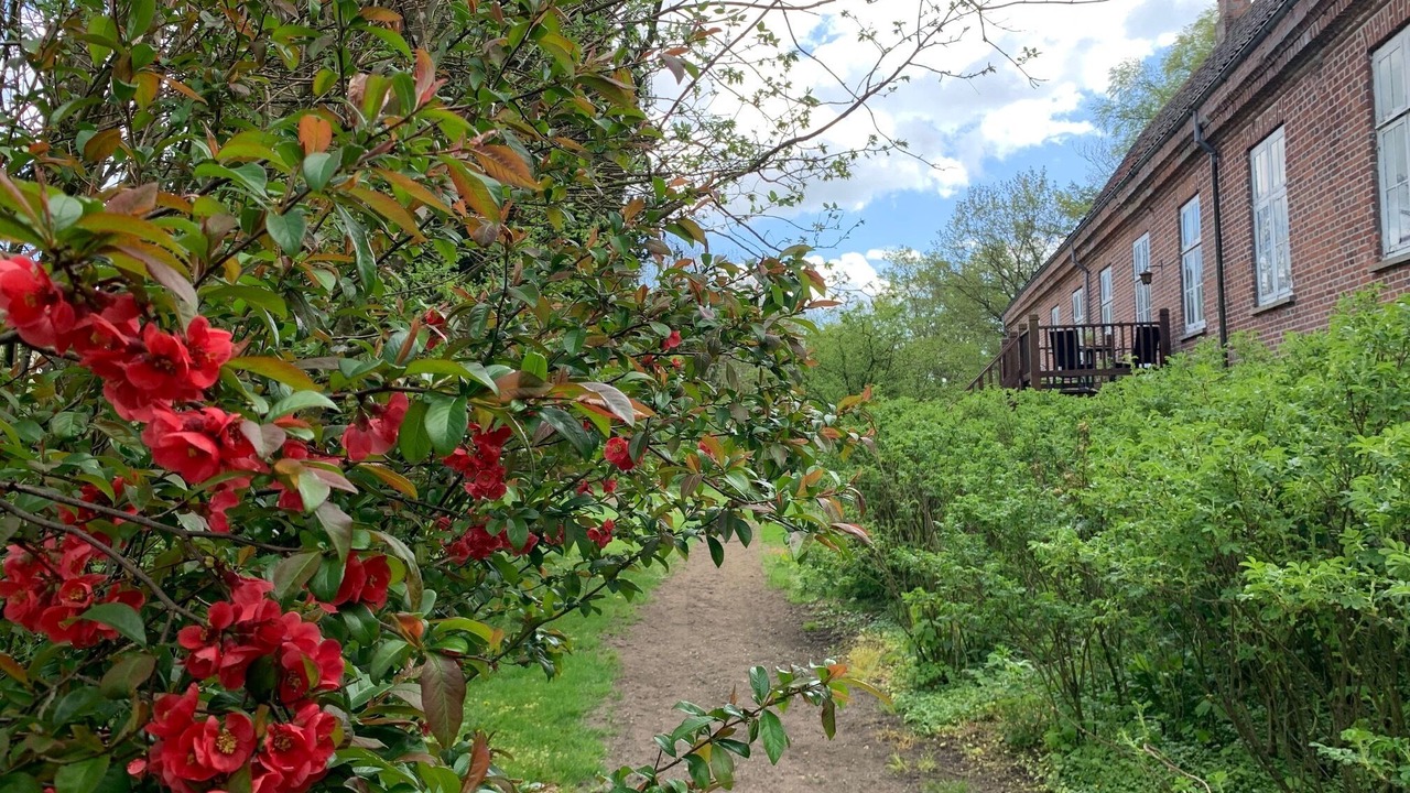 Photo of Outdoor in Barrit