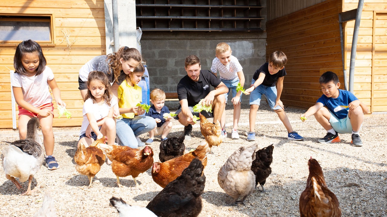 Photo of Others in Gravon