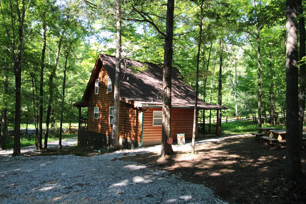 Photo of Others in Bee Spring