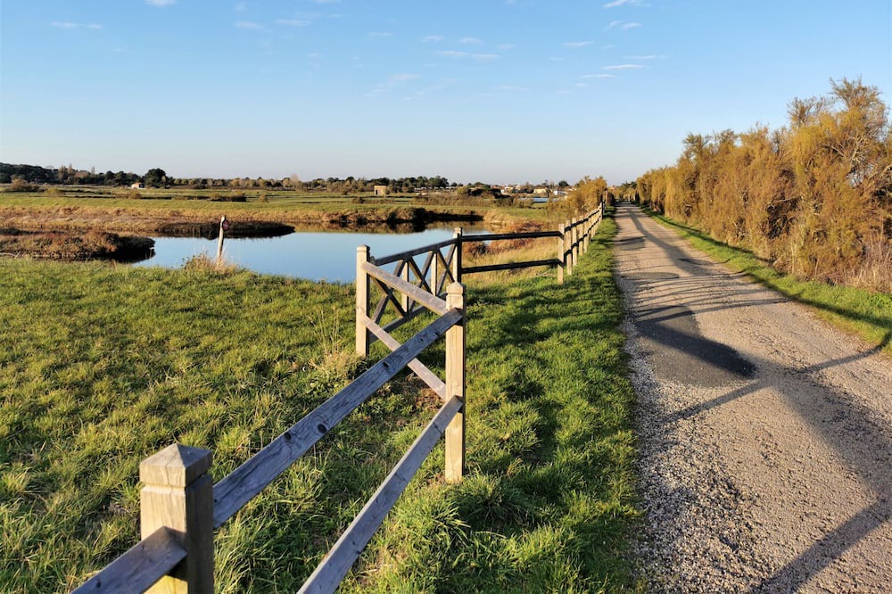 Photo of Outdoor in LʼIle-dʼOlonne