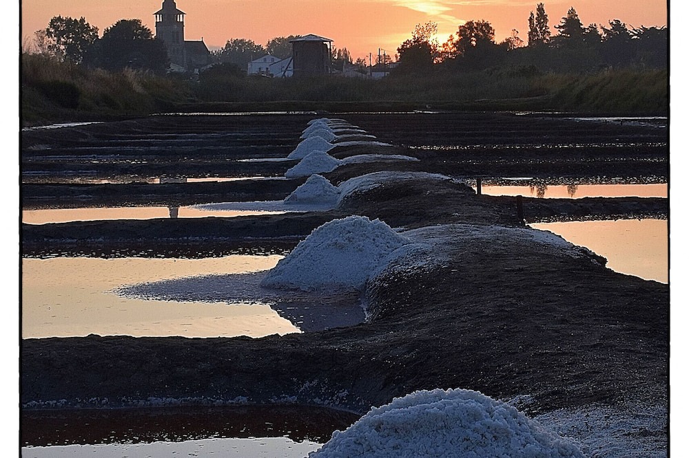 Photo of Others in LʼIle-dʼOlonne