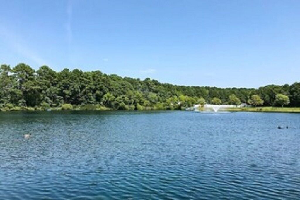 Photo of Outdoor in Assateague Pointe